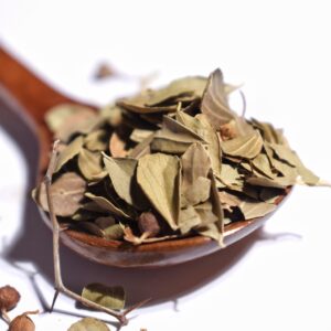 Infuso Ziziphus Spina-Christi