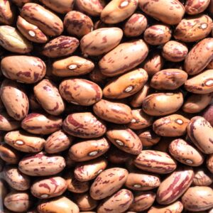 Fagioli Borlotti Lamon 500g