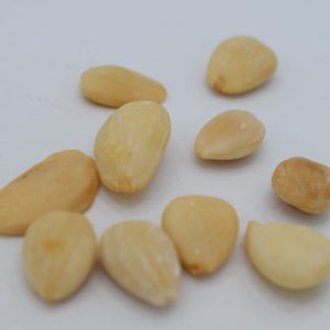 Bitter Apricot Kernels 100g