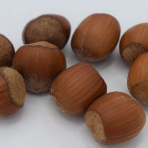 Hazelnuts in Shell