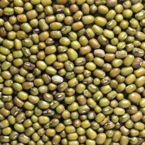 Fagioli Azuki Verdi 350g