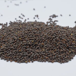 Senape Marrone Semi 80g