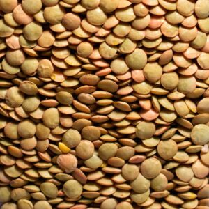 Lenticchie Giganti (Sicilia) 350g