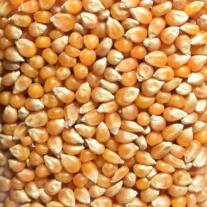 Chicchi di pop corn 500g