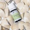 zenzero olio