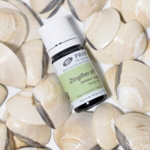 zenzero olio