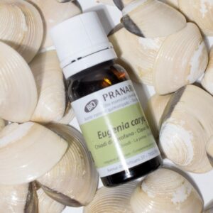 Olio di Garofano chiodi Bio 10ml