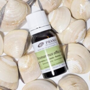 Olio essenziale di Rosmarino Cineolo Bio 10 ml